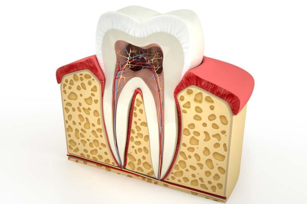 PULPOTOMY